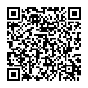 QR-Code QR-Code