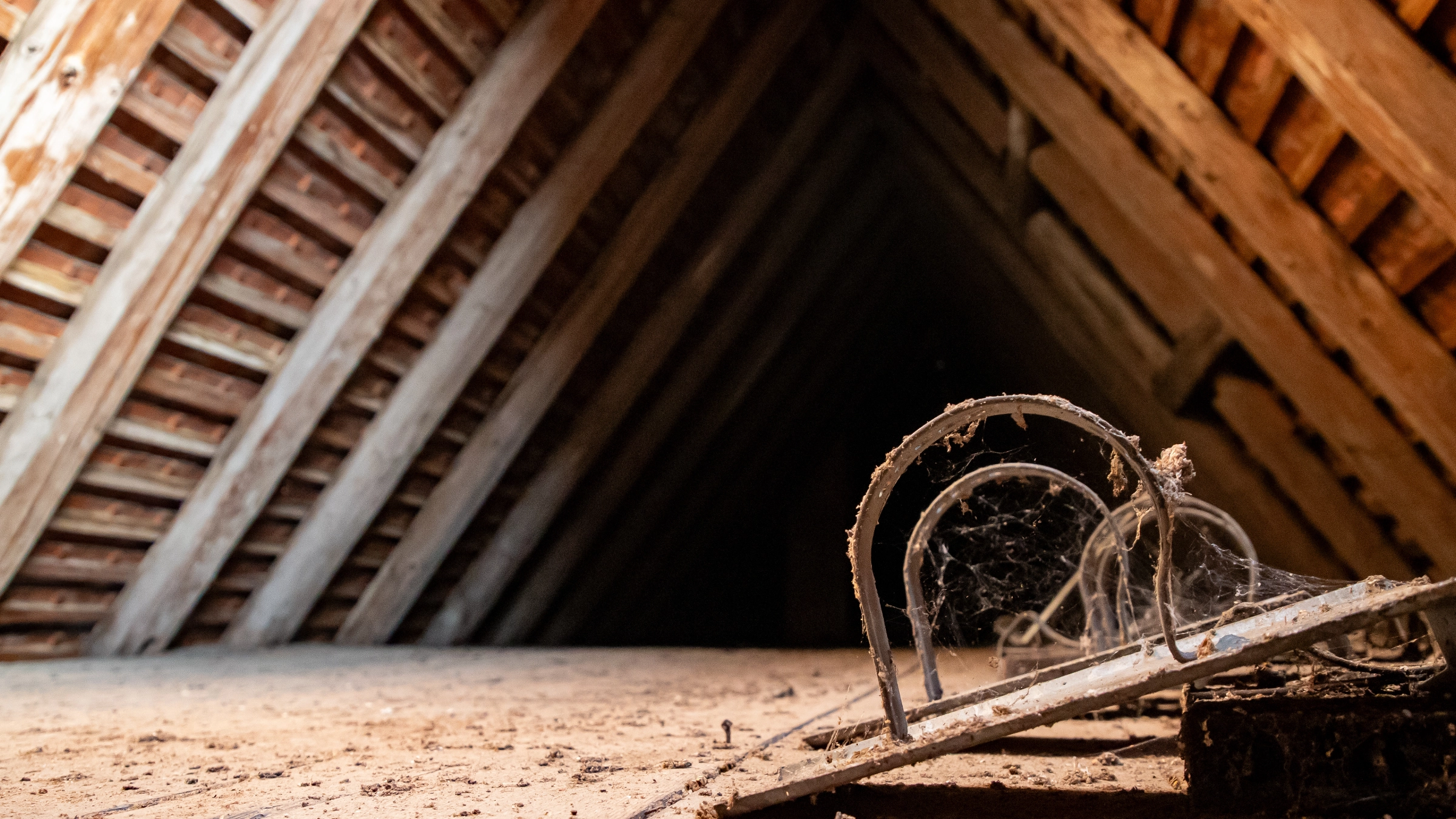 Immobilien-Ratgeber